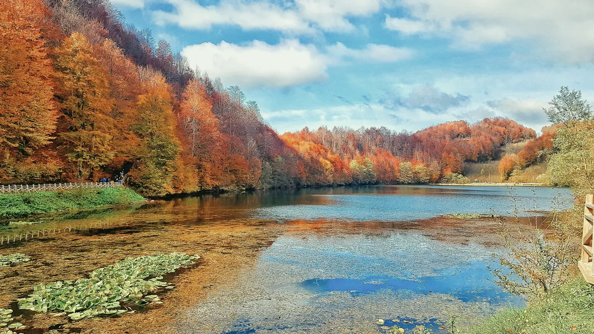 Gölköy, Ordu