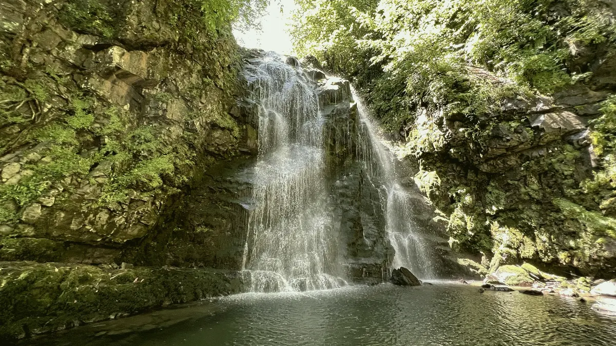 Gürgentepe, Ordu