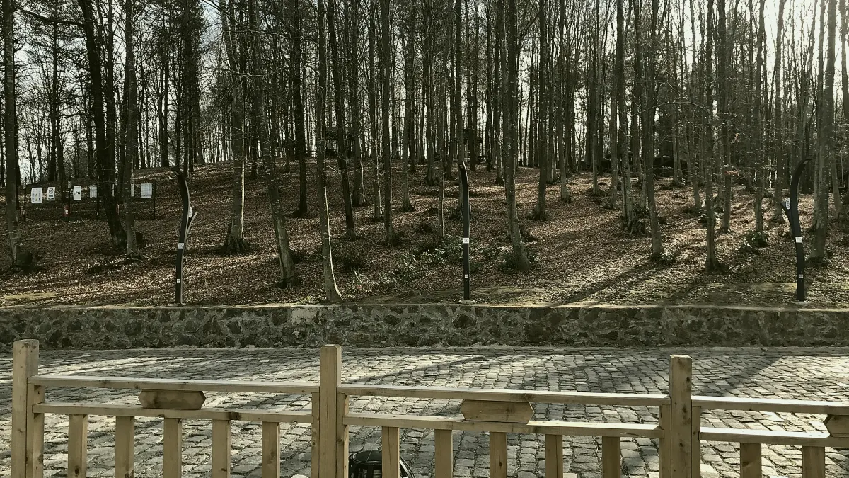 Ünye, Ordu