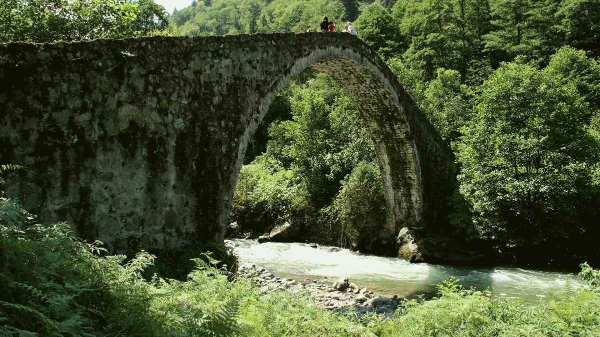 Çamlıhemşin, Rize