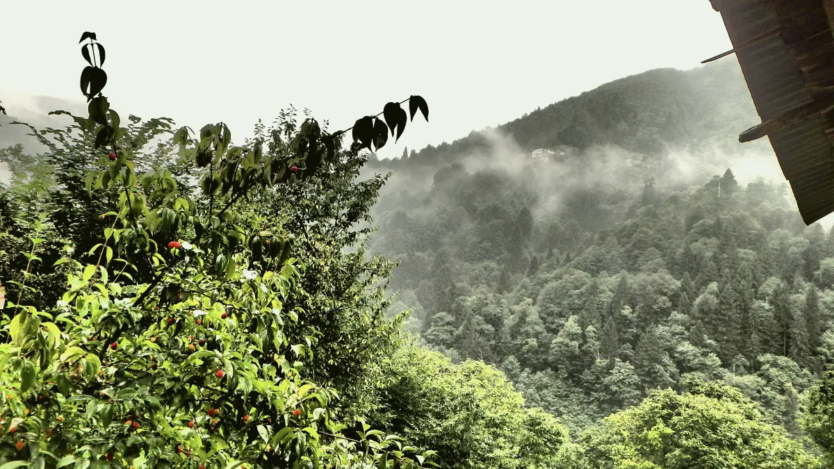 Hemşin, Rize