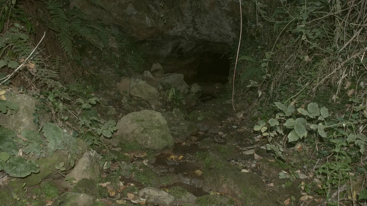 Söğütlü, Sakarya