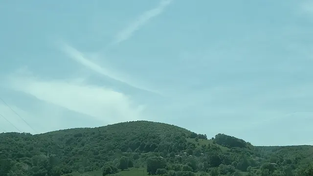 Kavak