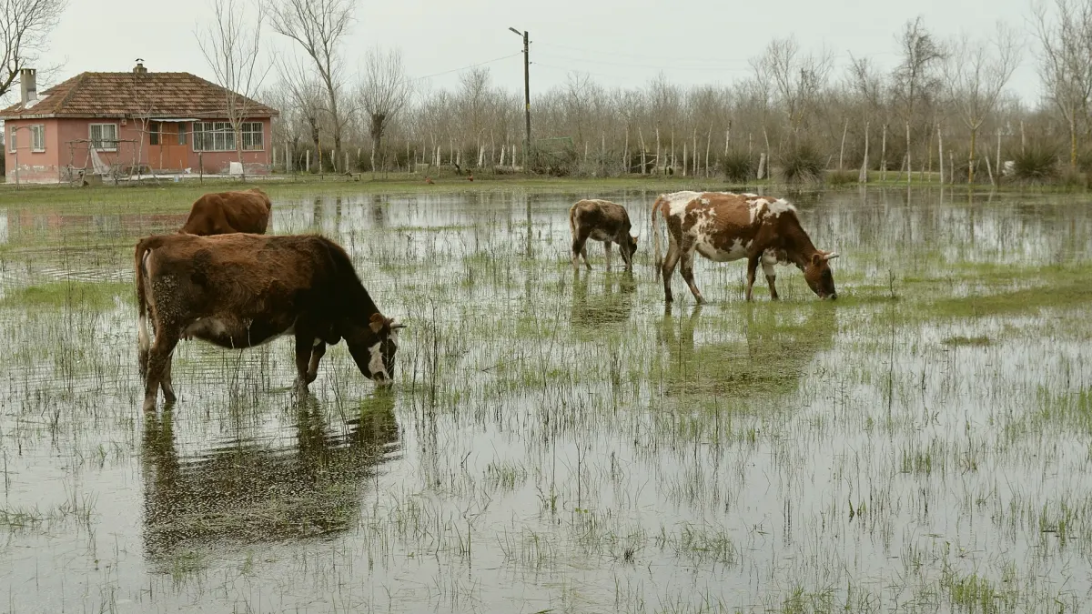 Ondokuzmayıs, Samsun