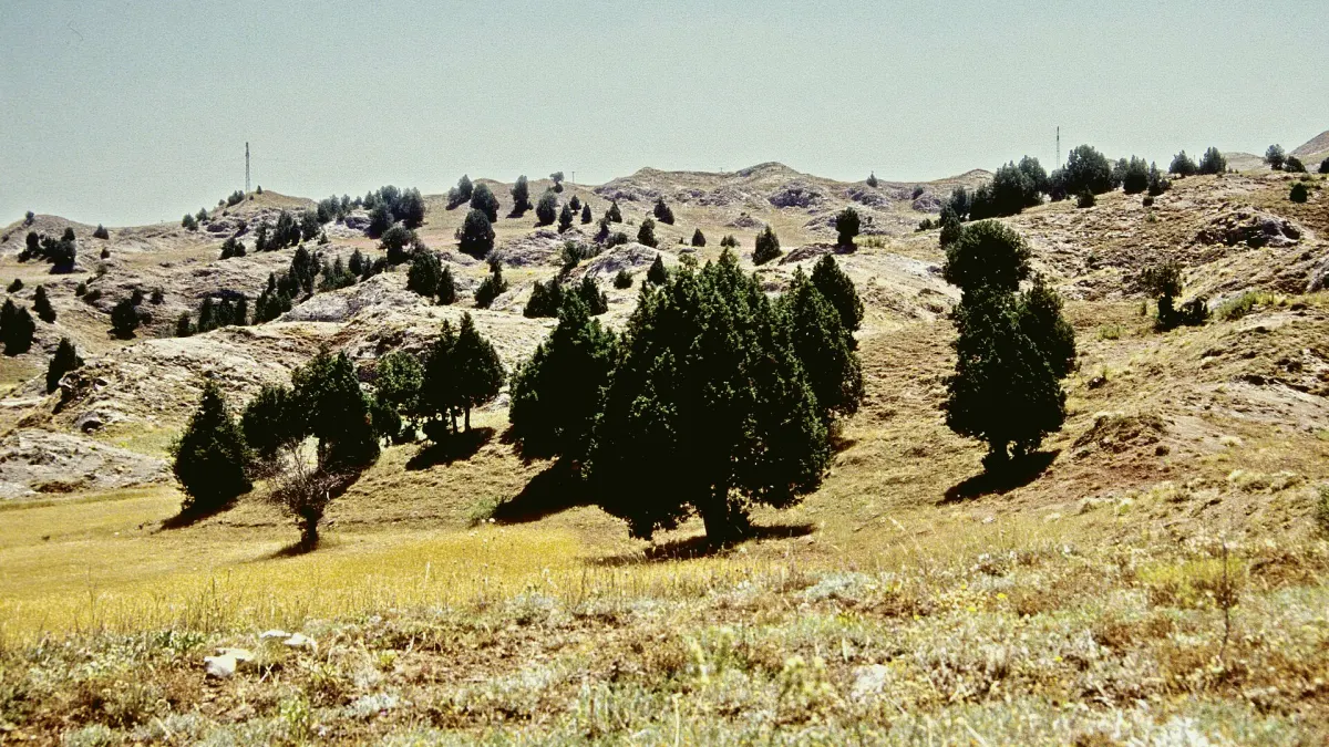 İmranlı, Sivas