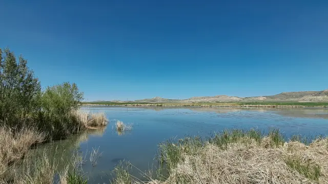 Ulaş
