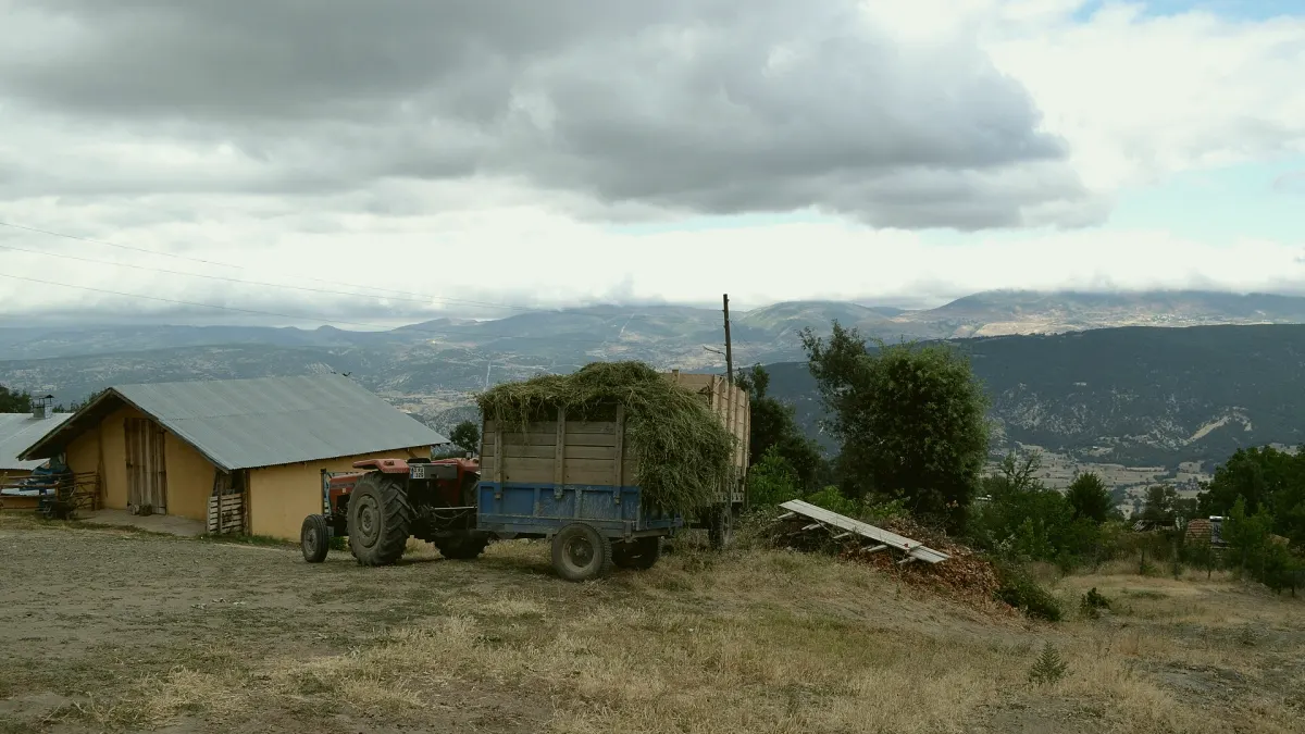 Reşadiye, Tokat