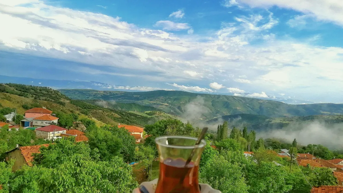 Turhal, Tokat
