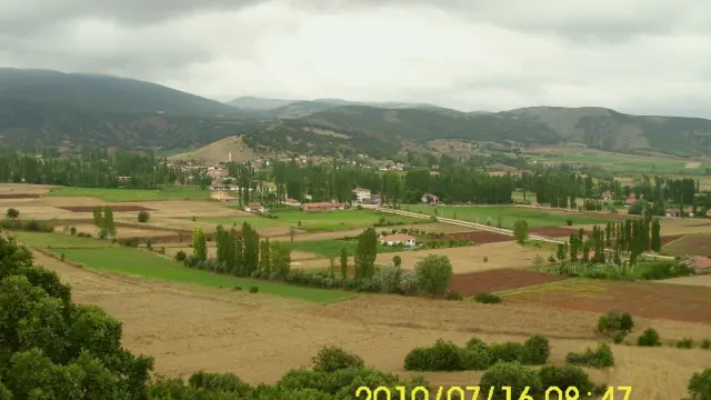 Zile