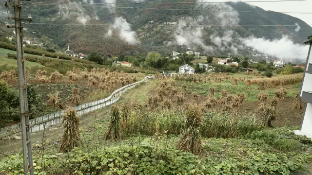 Düzköy