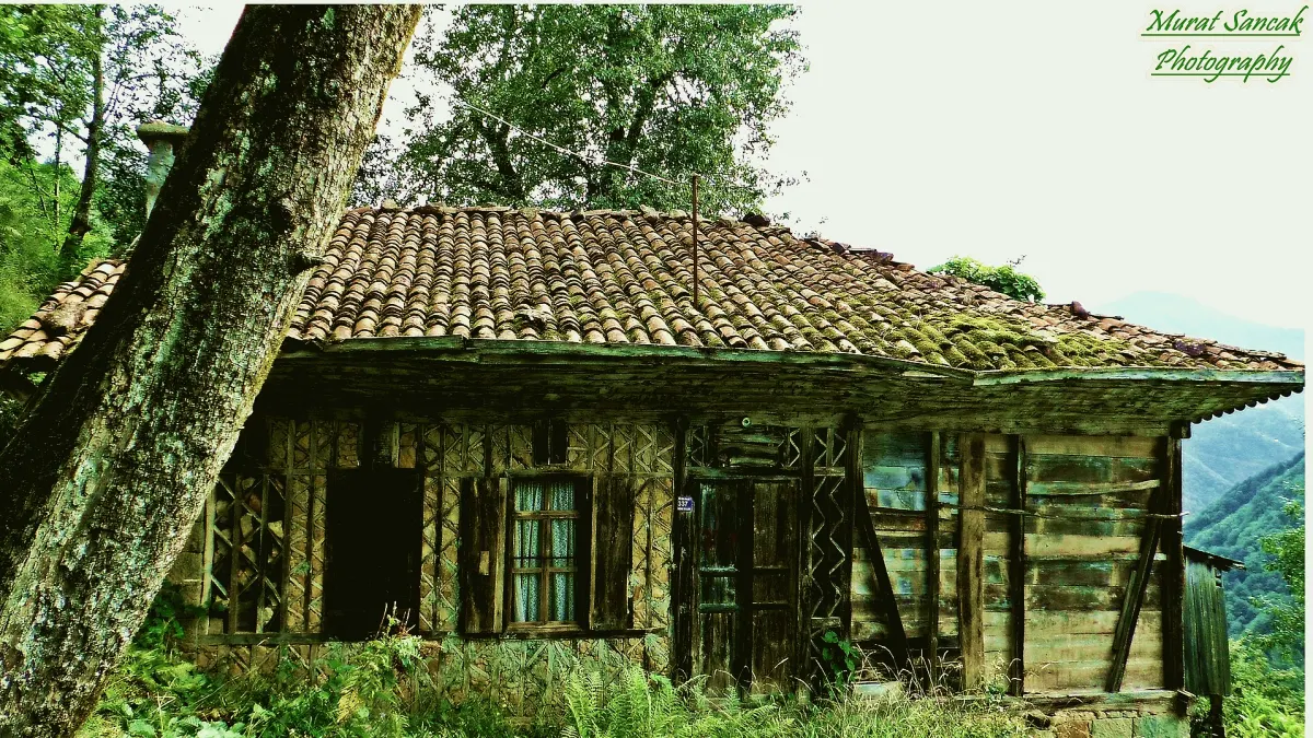 Köprübaşı, Trabzon