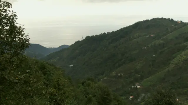 Vakfıkebir