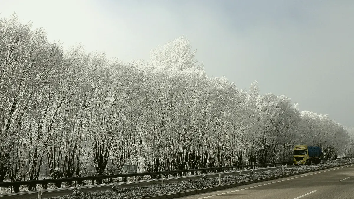 Banaz, Uşak