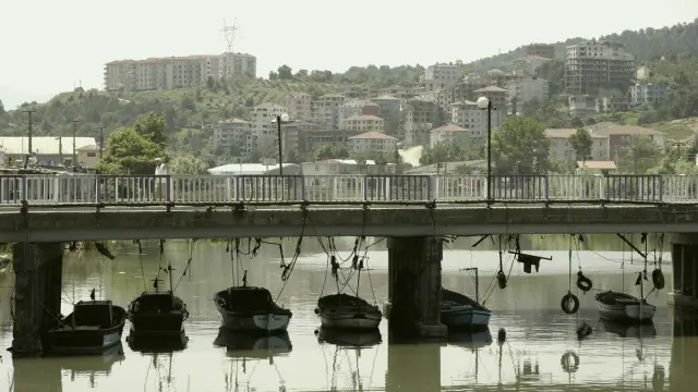 Alaplı