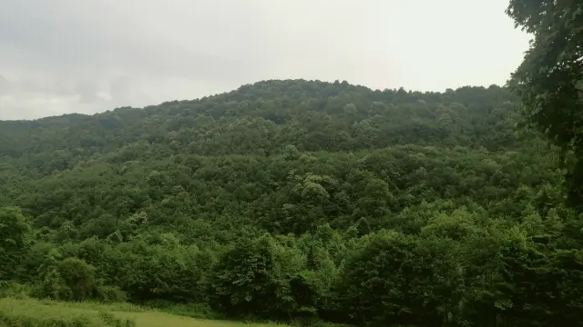 Ereğli