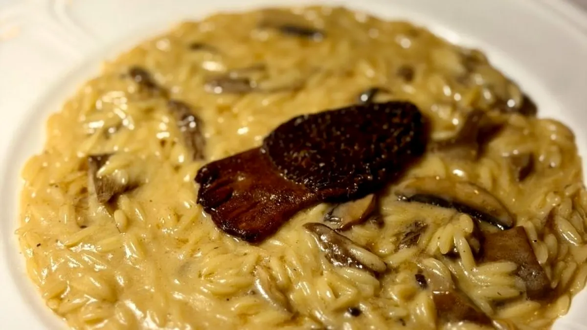 Erizo Gastro & Bar