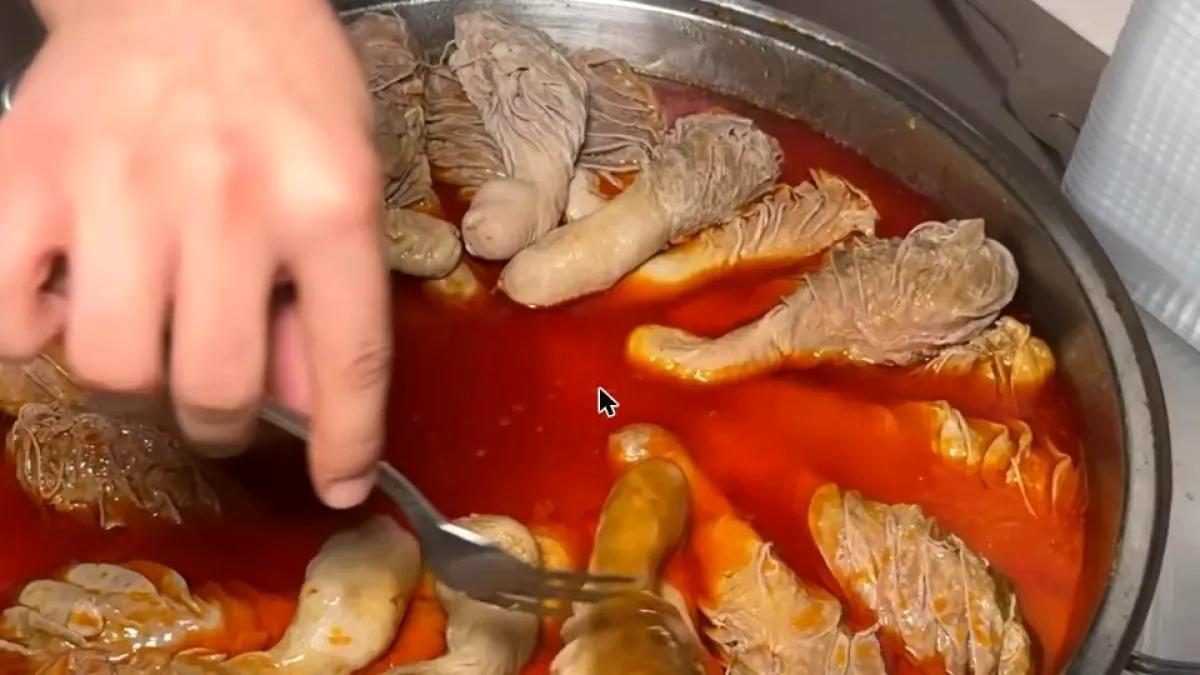 Şırdancı Bedo