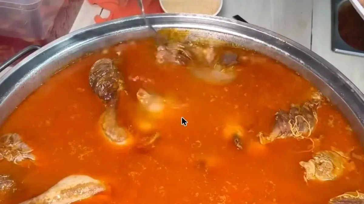 Şırdancı Vedoo